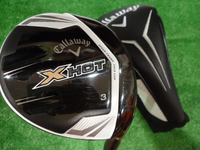 DSC07757 - コピー